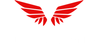 Hellenic Drones